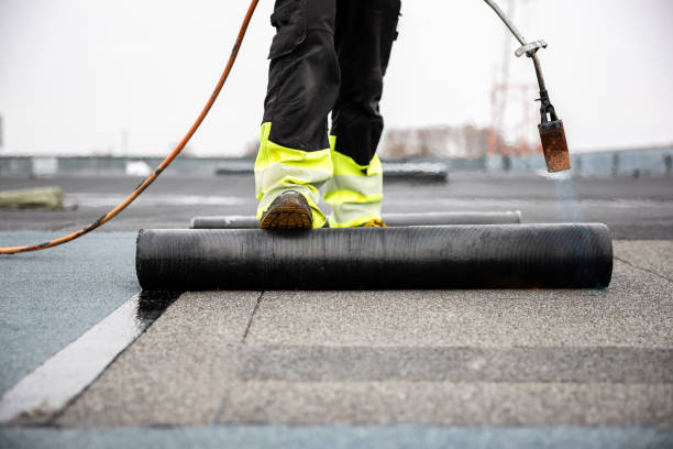 Best Cold Roofs  in Santa Fe, TX